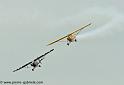 piper_2390