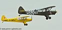 piper_2403
