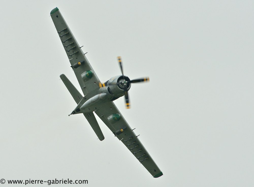 skyraider_2517.jpg