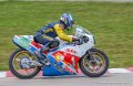 Bertin250