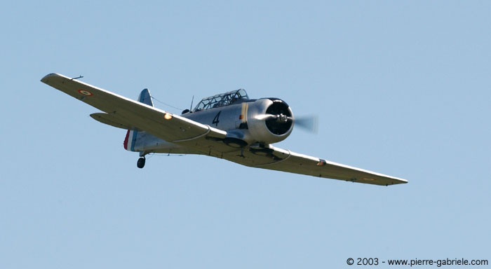 t6-1.jpg