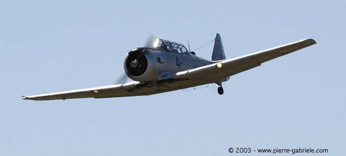 t6-5.jpg