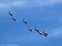 paf5