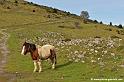 cretes-lazerque_4169