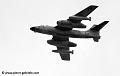 vautour-253