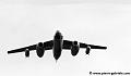 vautour-265