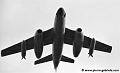 vautour-267