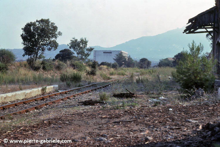 corse-145.jpg