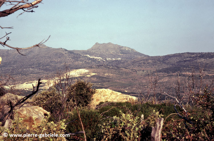 corse-150.jpg