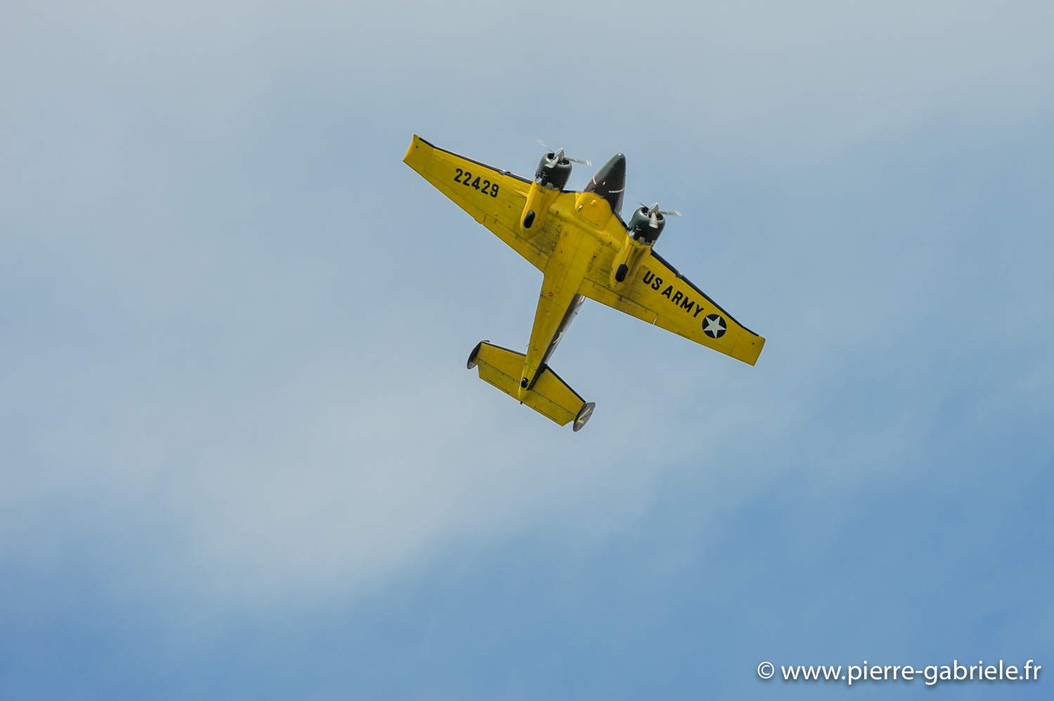 beech18_9072.jpg
