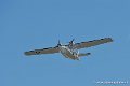 catalina_9161