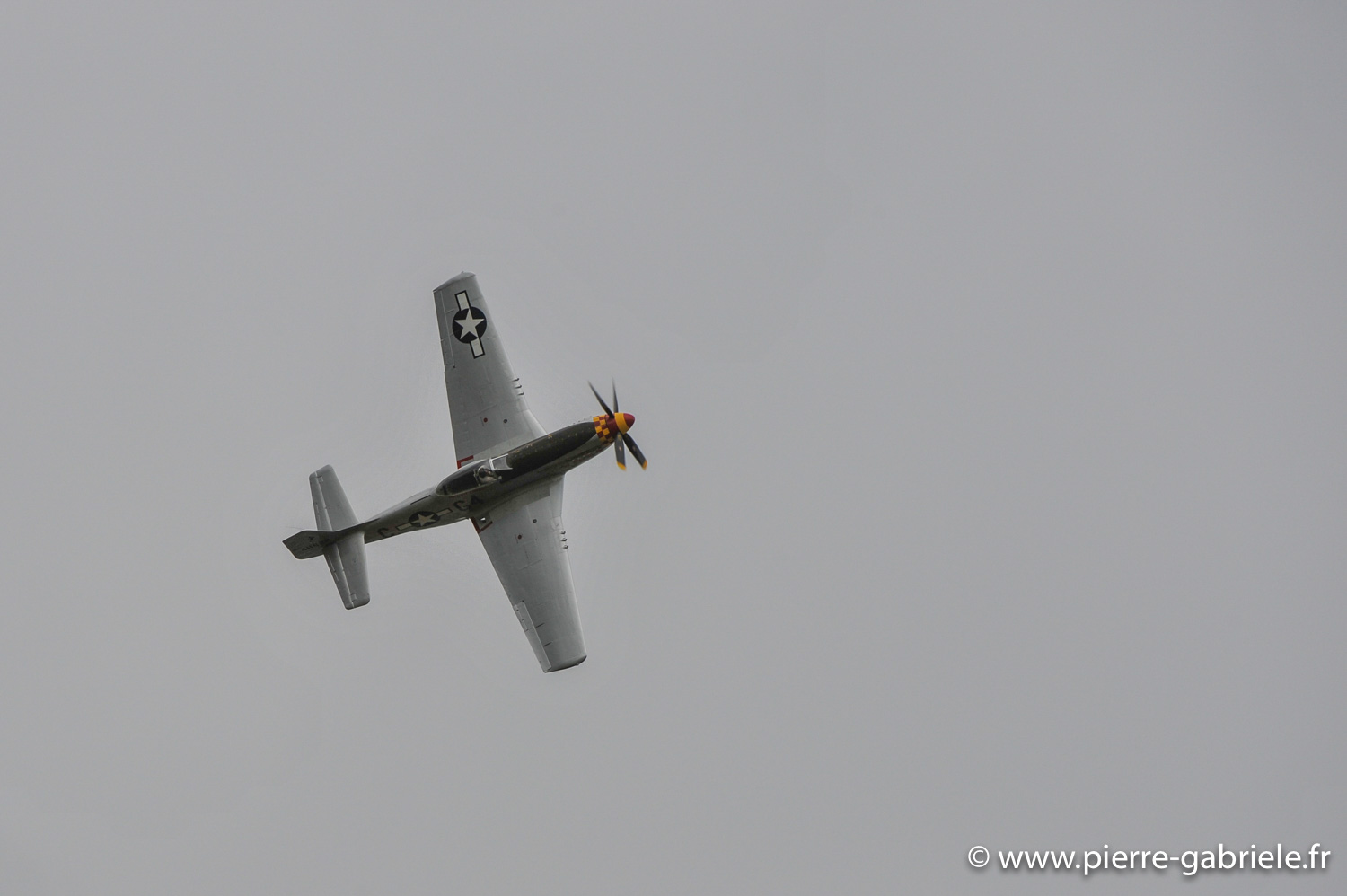 mustang_9258.jpg