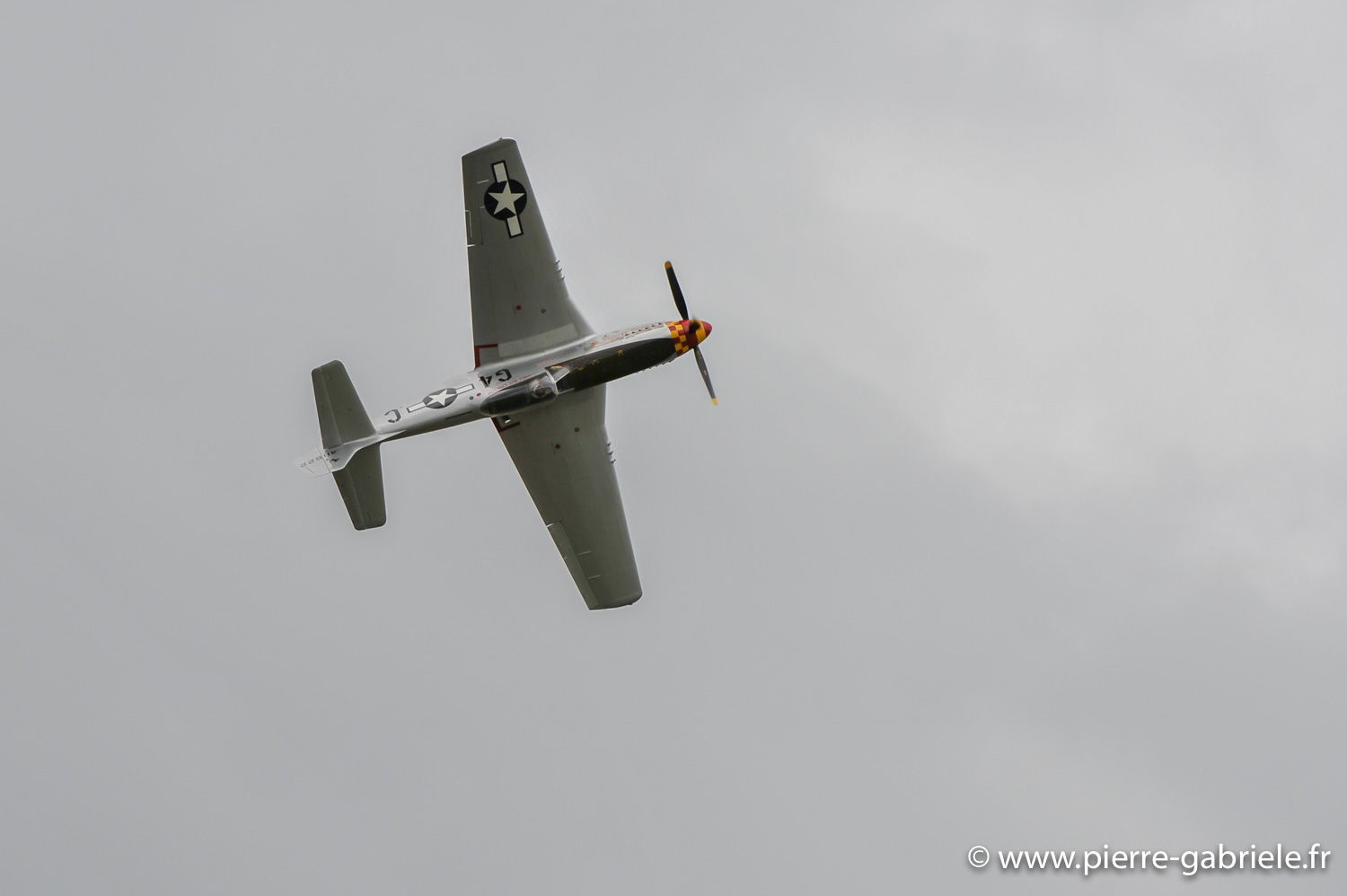mustang_9267.jpg