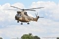 puma_8969
