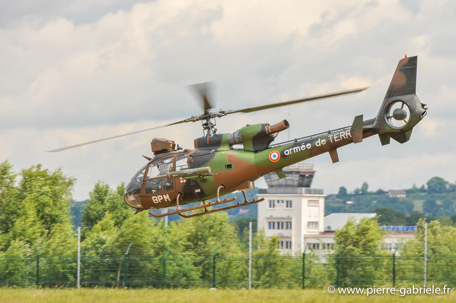 gazelle_9005.jpg
