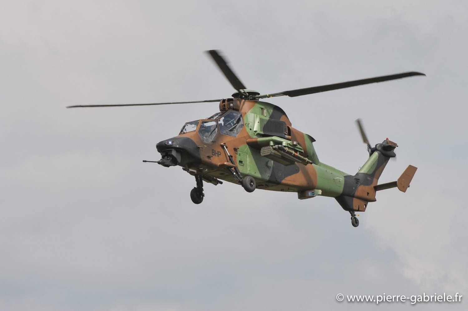 tigre_0044.jpg