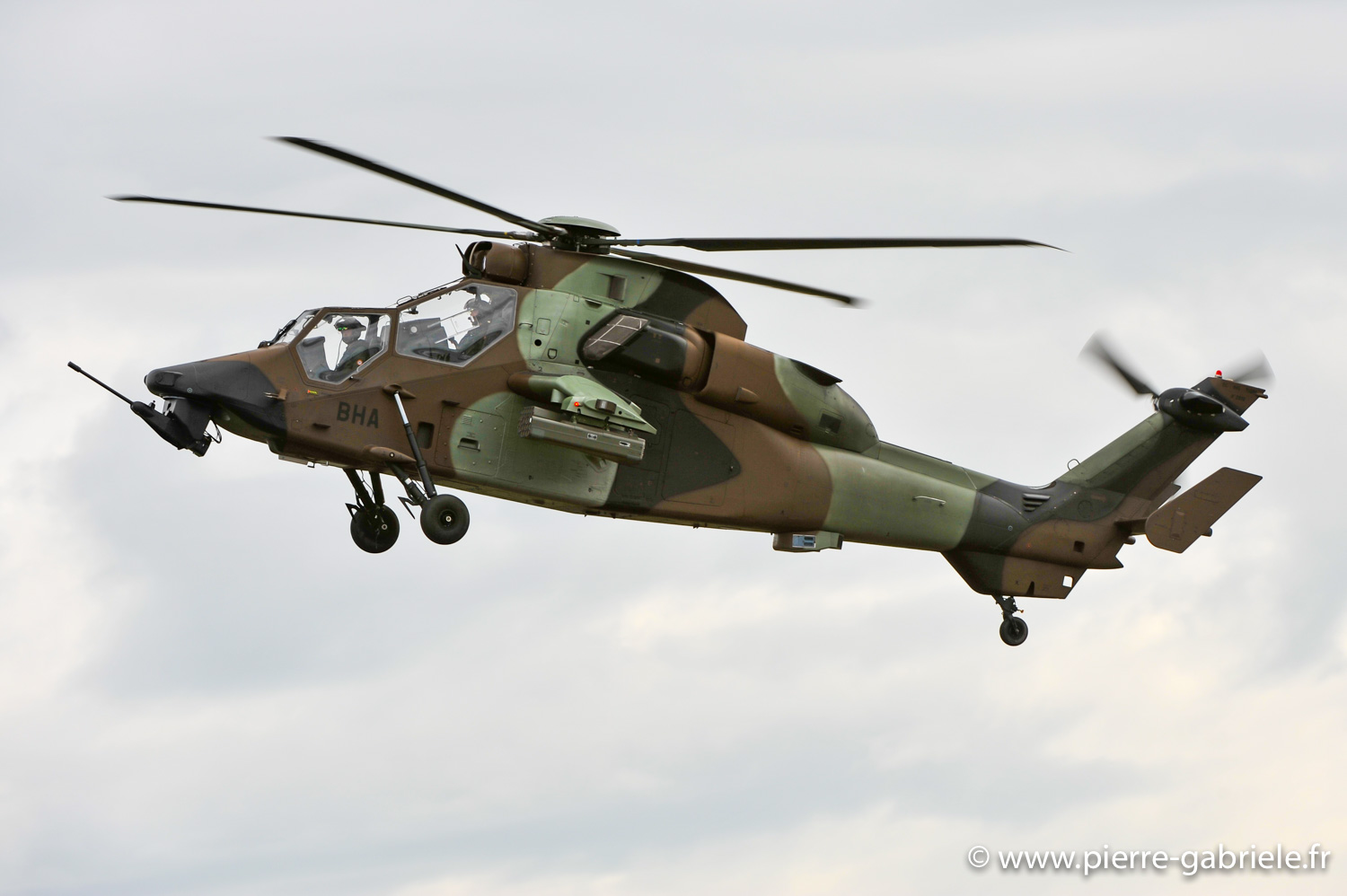 tigre_8862.jpg