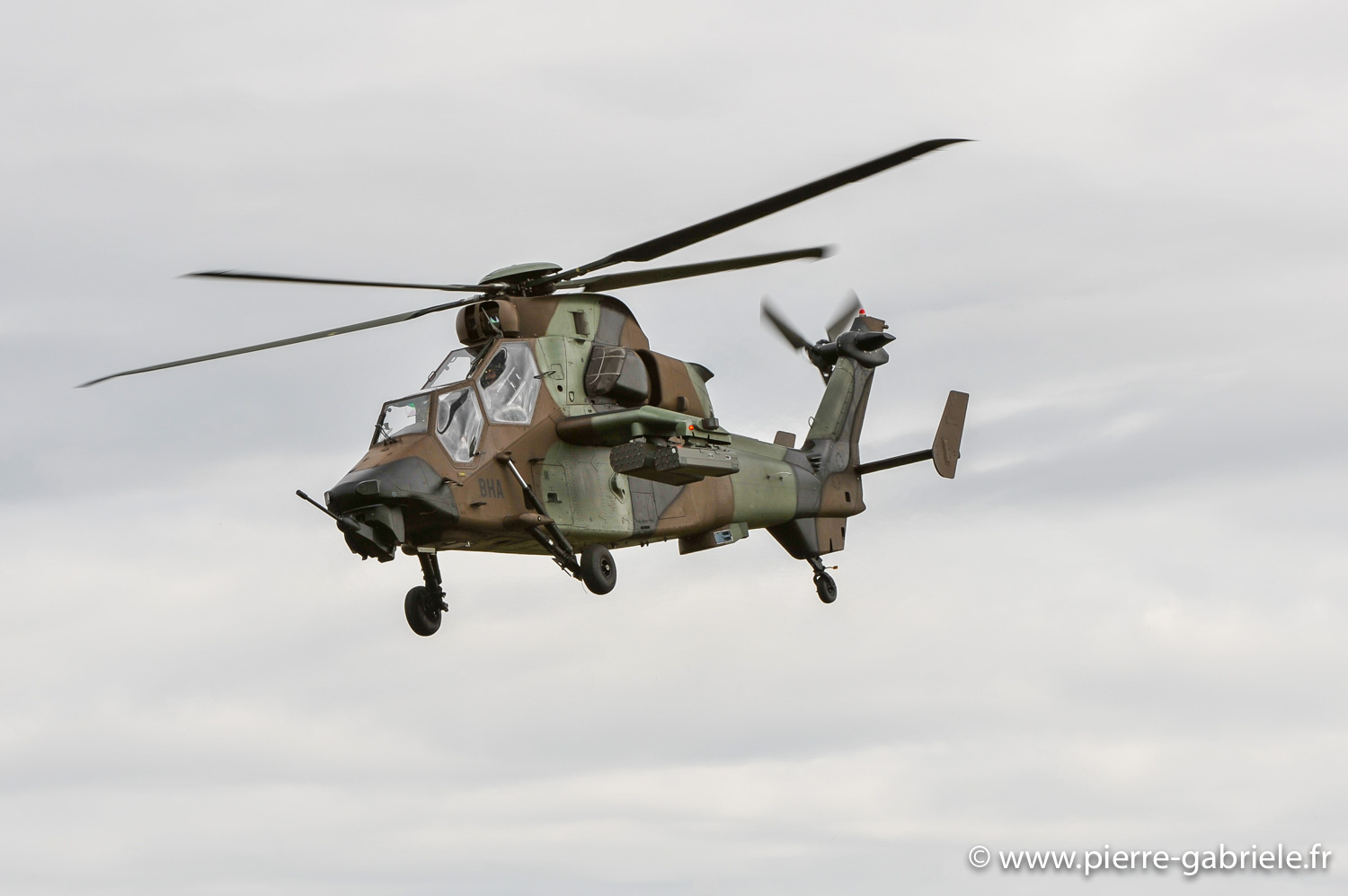 tigre_8866.jpg