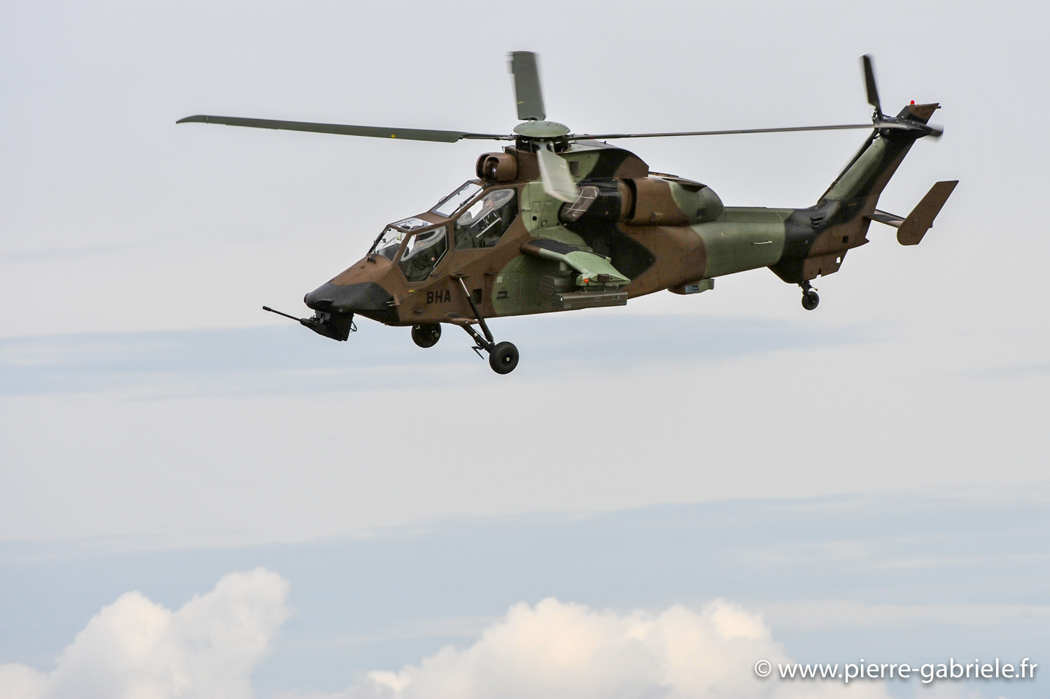 tigre_8869.jpg