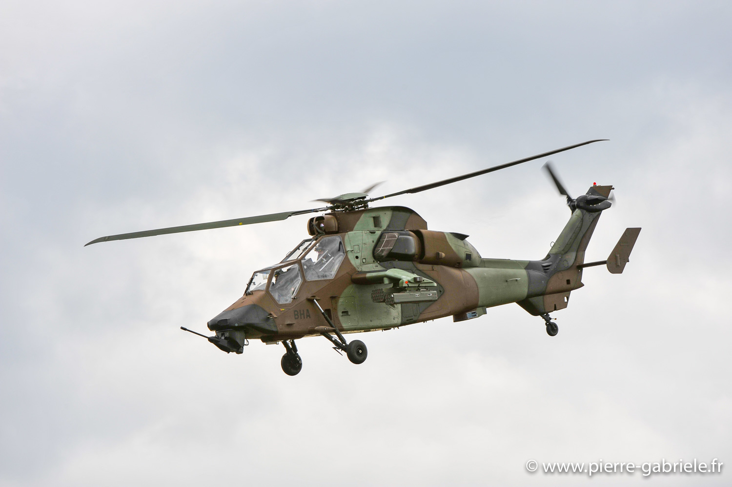 tigre_8880.jpg