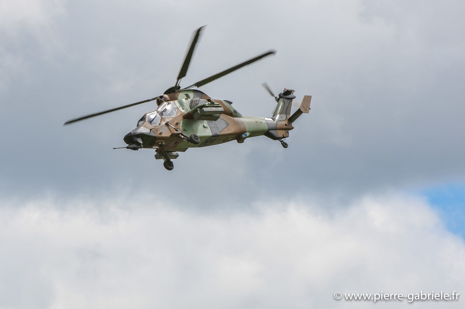 tigre_9001.jpg