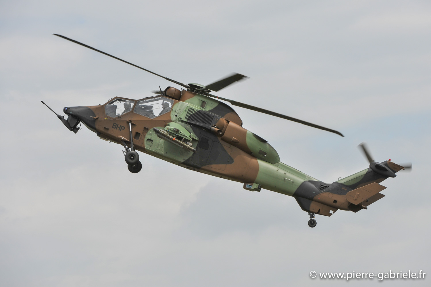 tigre_9767.jpg