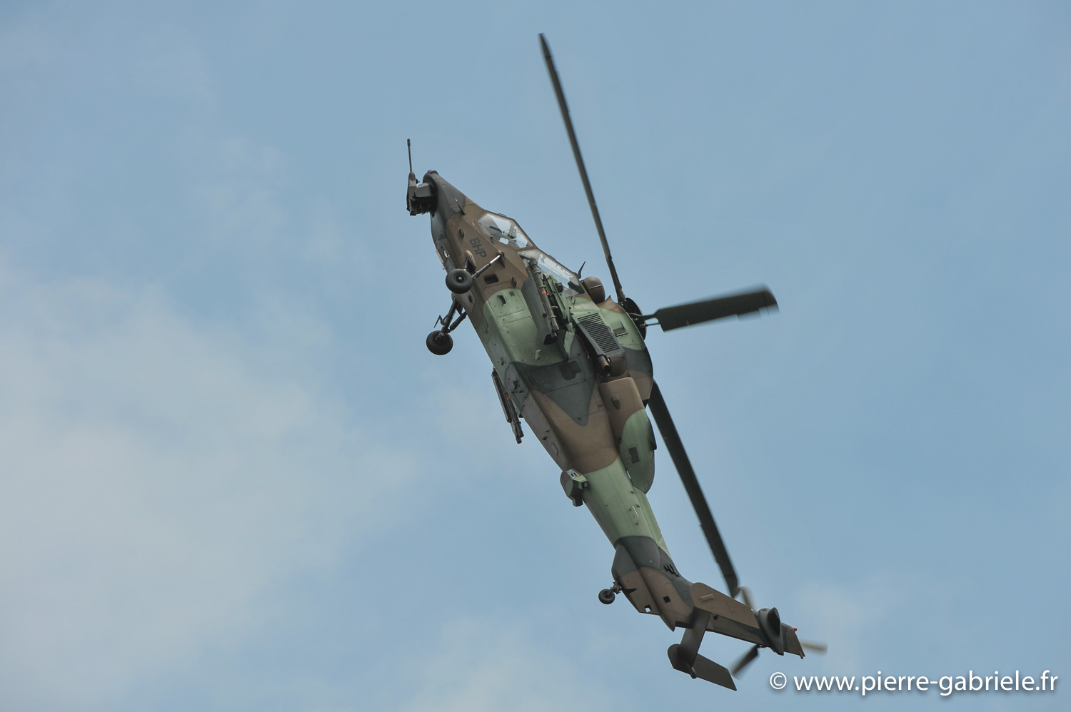 tigre_9777.jpg