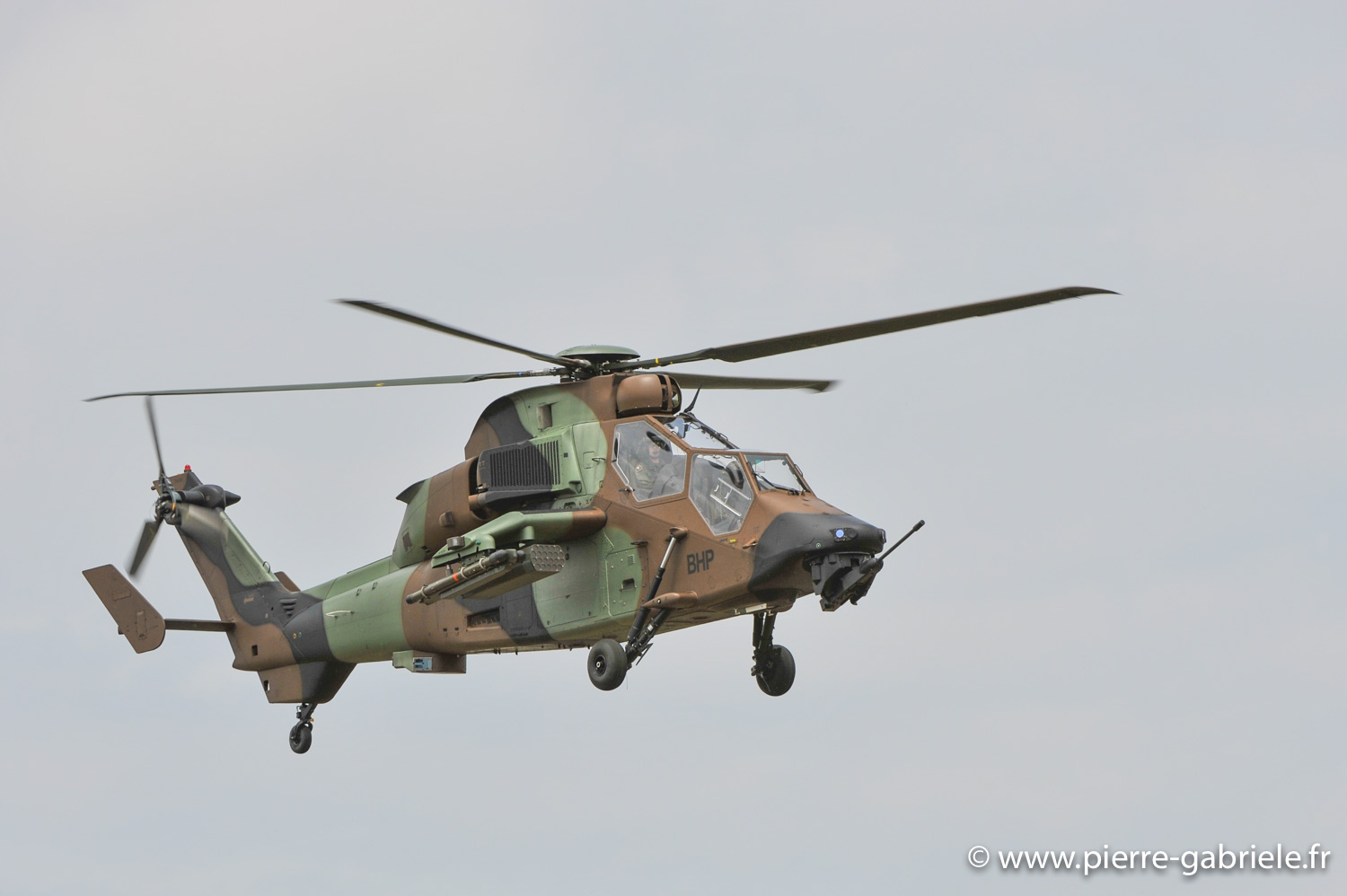 tigre_9790.jpg