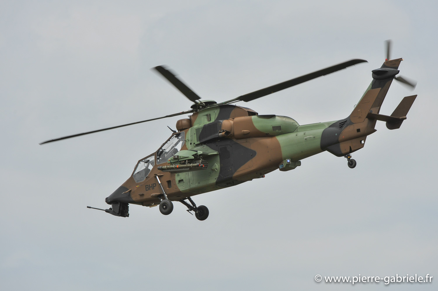 tigre_9798.jpg