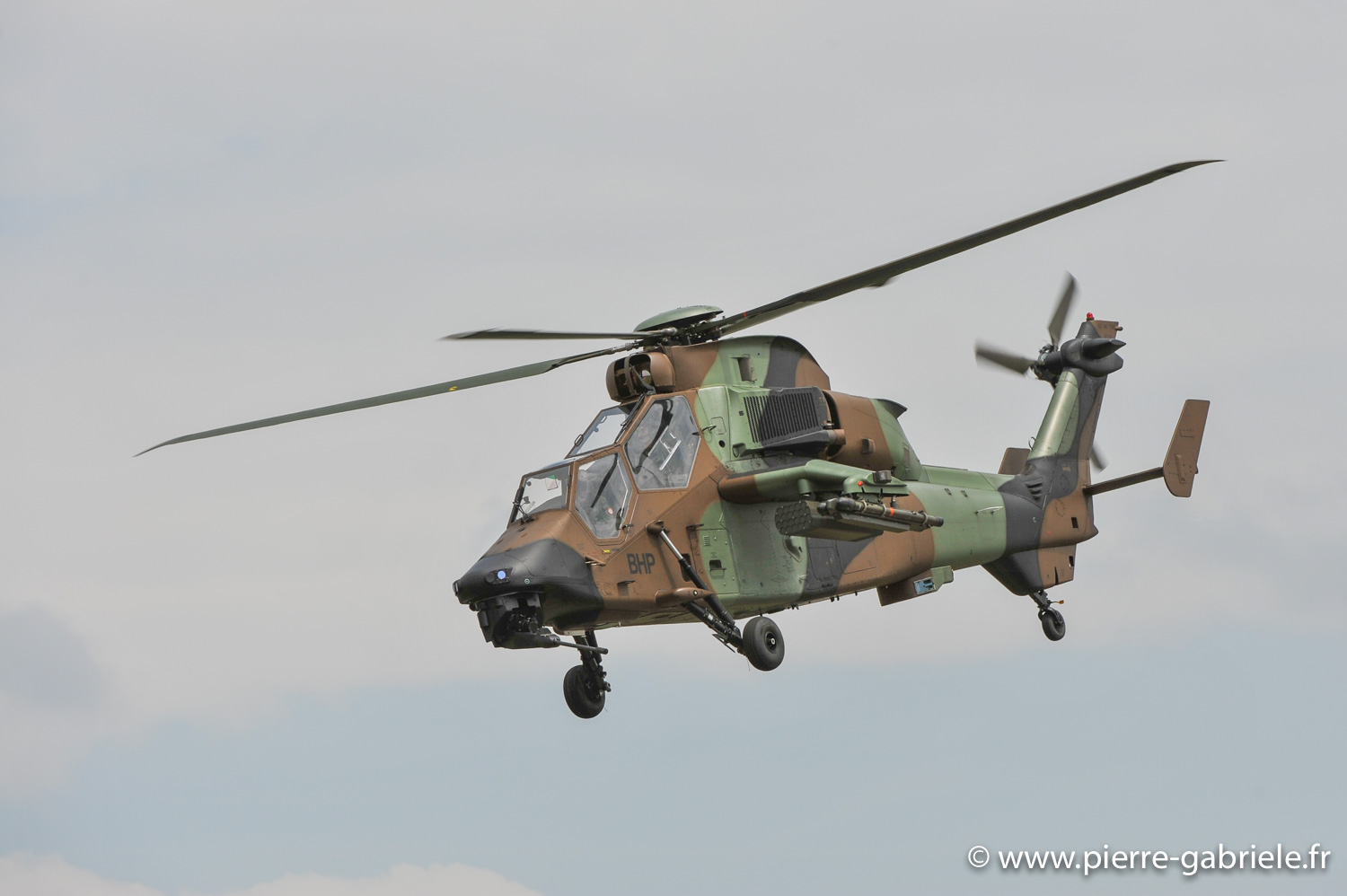 tigre_9802.jpg