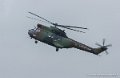 puma_4463
