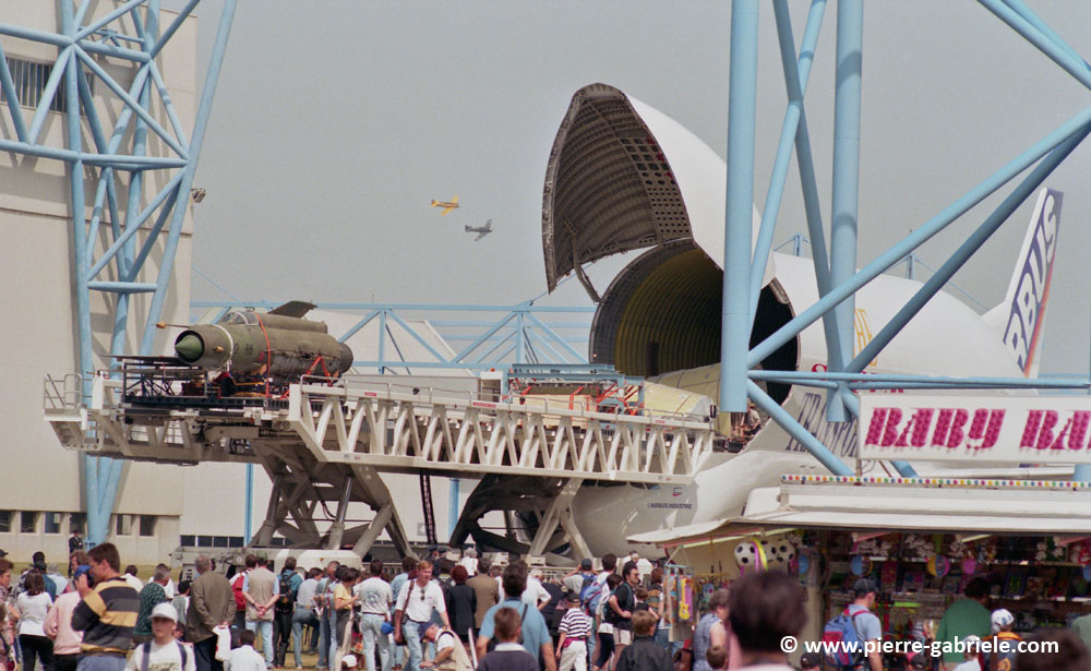 beluga_n592.jpg
