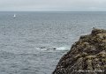 goeland-g91_8271