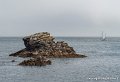 lespoulains-g91_8236