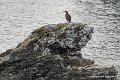 lespoulains-g91_8239