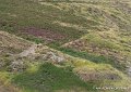 locmaria-g91_8323
