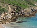 port-guen-g91_8128