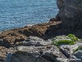 port-guen-g91_8136
