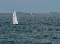 voiliers-g91_8104