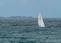 voiliers-g91_8105