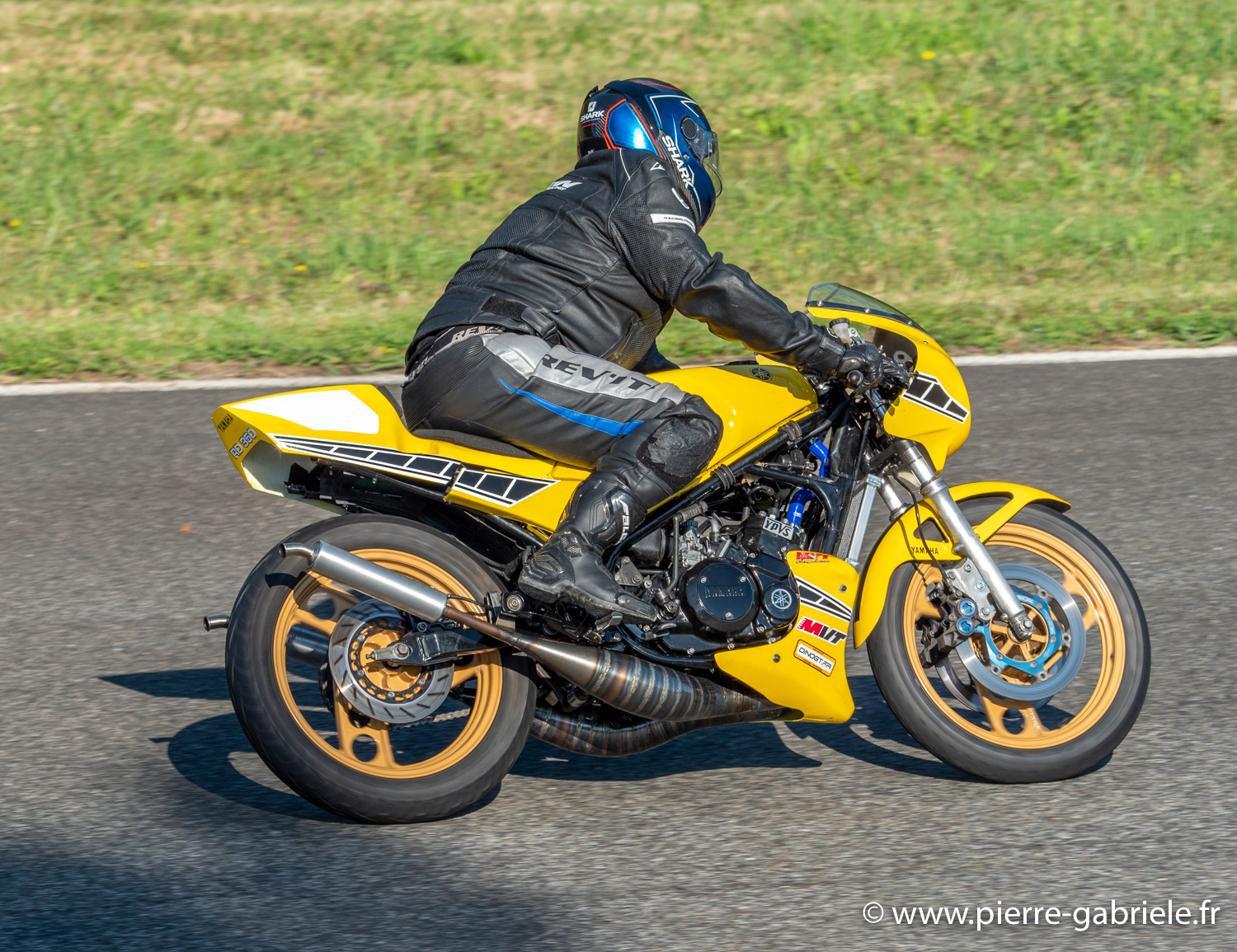 solos-g91_7082.jpg