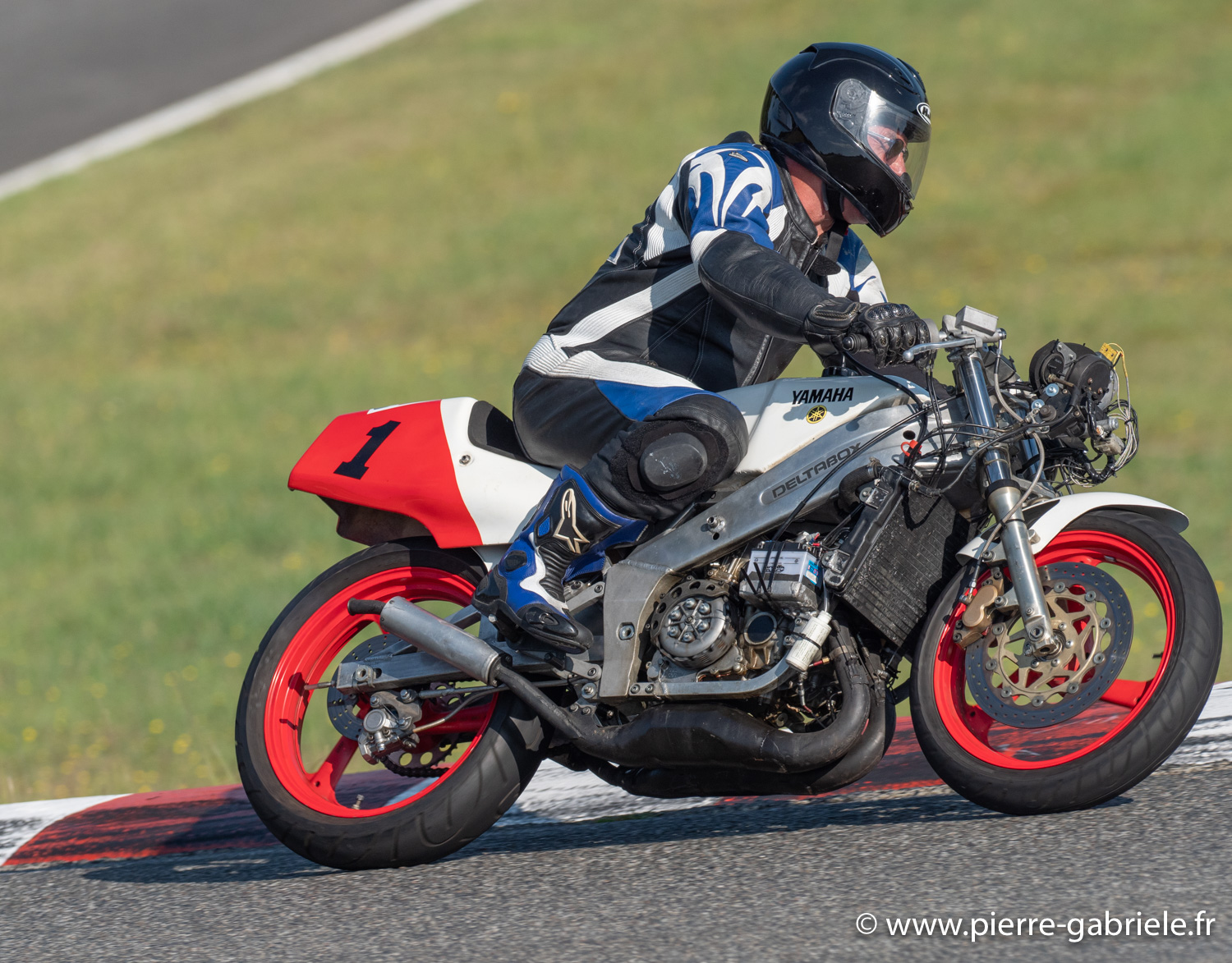 solos-g93_2437.jpg