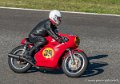 solos-g91_6836