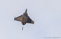 rafale-g93_3322