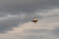 rafale-g93_3328
