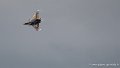 rafale-g93_3341