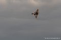 rafale-g93_3368