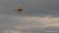 rafale-g93_3369