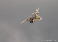 rafale-g93_3472