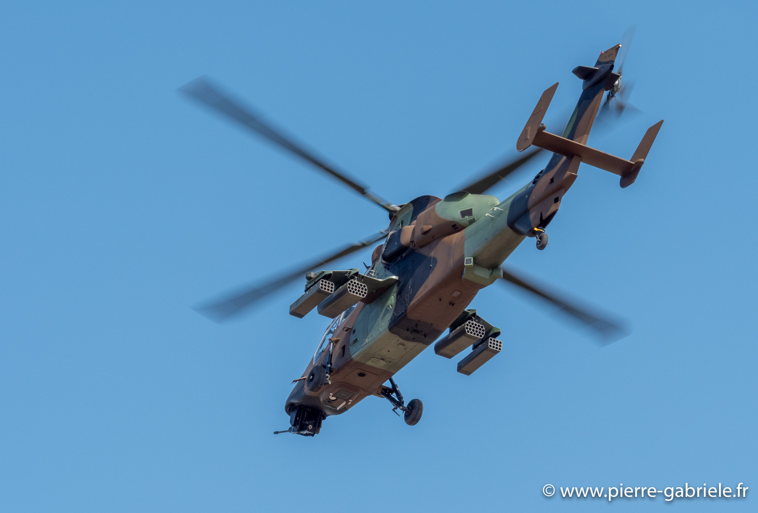 tigre-g91_7347.jpg